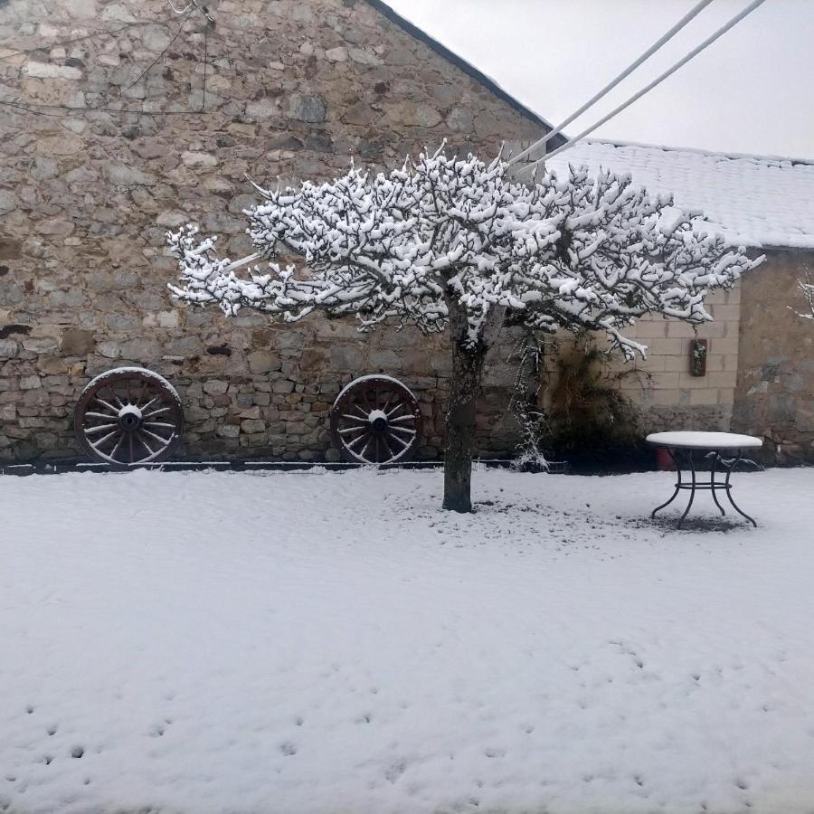Turismo En Babia Bajo Los Nidos San Emiliano Exterior foto